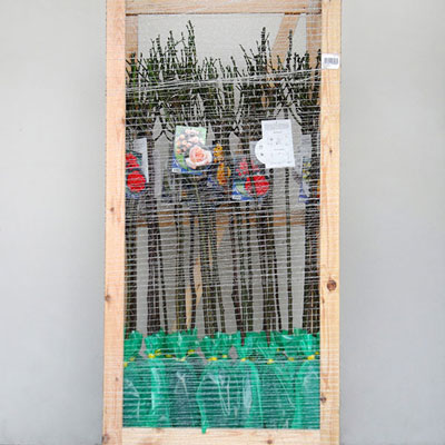 Stromy, ovocné kríky, okrasné rastliny, ruže, výrobca Poľsko